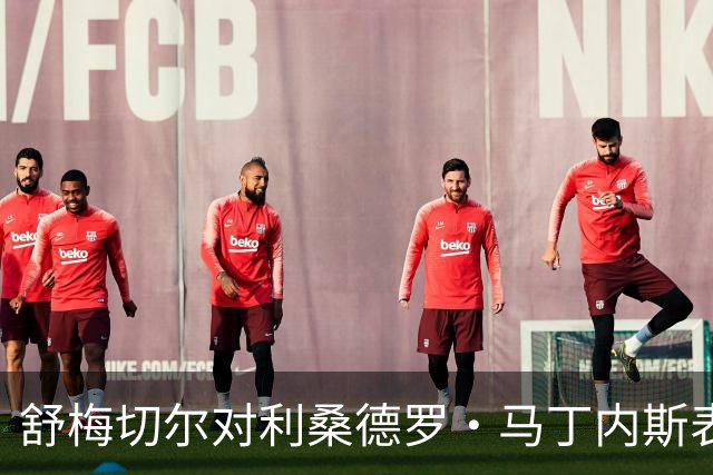 舒梅切尔对利桑德罗·马丁内斯表现的严厉批评及其影响分析
